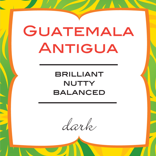Paramour Coffee - Guatemala Antigua