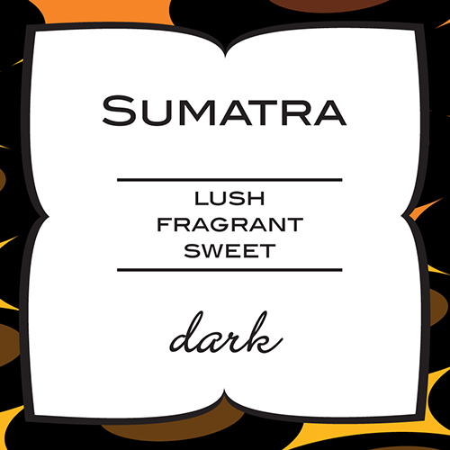 Paramour Coffee - Sumatra